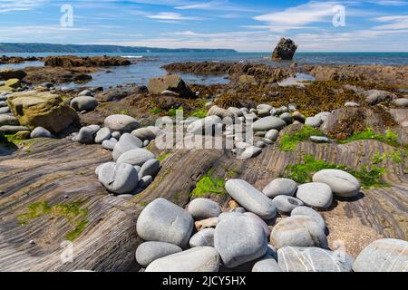 Scenic Sea View of Greencliff Beach, With, Exposed, Textured Rocks, Rock Pools and Sea View Towards Hartland Point at Low Tide: Greencliff Stock Photo