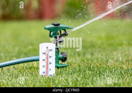 Thermometer with lawn sprinkler watering grass in yard. Drought, water conservation, hot weather and lawncare concept Stock Photo