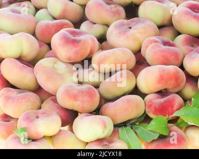 Close Up - Saturn Peaches Stock Photo