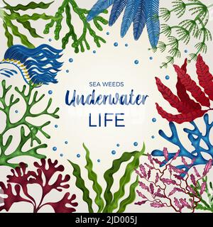 Underwater life colorful decorative square frame cover page with brown green red algae seaweeds flat vector illustration Stock Vector