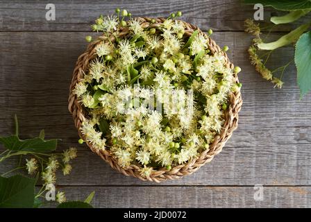 Fresh linden flowers in a wicker basket, top view Stock Photo