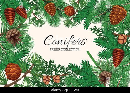 Pine tree cone frame composition with empty space for ornate text surrounded by fir needle images vector illustration Stock Vector