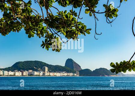 View of Copacabana beach and Sugarloaf Mountain in Rio de Janeiro through the vegetation Stock Photo