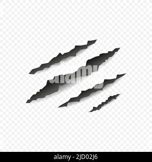Realistic claw rip slash pattern on transparent background. Vector illustration. Stock Vector