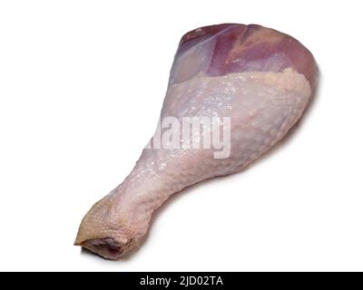 Turkey drumstick  in spices  on white background. Poultry meat. Turkey leg. Juicy meat is waiting to be cooked. Waiting for the oven. Ham Stock Photo