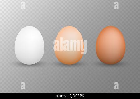 3d realistic vector aggs. Flat illustration. Healthy meal. Natural product. Vector illustration. Cooking food. Stock Vector