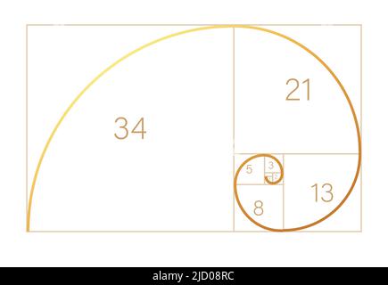 Abstract illustration with golden ratio on black background. Spiral pattern. Line drawing. Vector illustration. Stock Vector