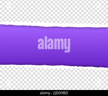 Gray background with copyspace and torn paper edge. Vector illustration. Stock Vector