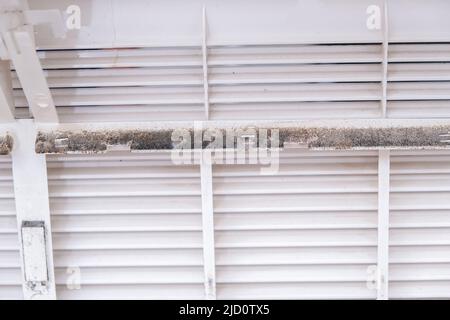 Mold and dust on the air conditioner body. Maintenance and cleaning of the split system. Stock Photo