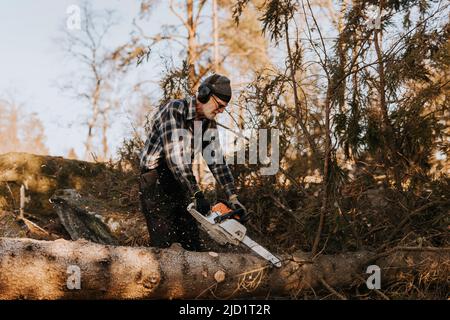Senior man in forest cutting tree trunk Stock Photo