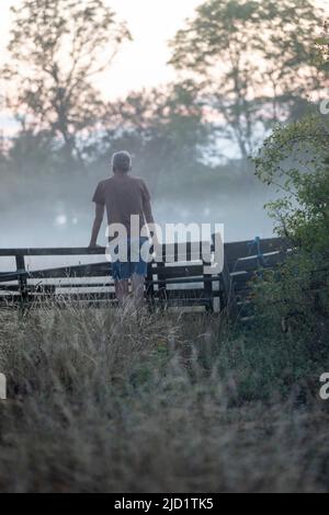Man in front of fence looking at view Stock Photo