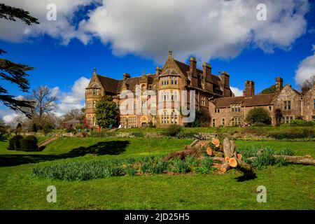 Storm damage below the south front of Knightshayes Court, nr. Tiverton, Devon, England, UK Stock Photo