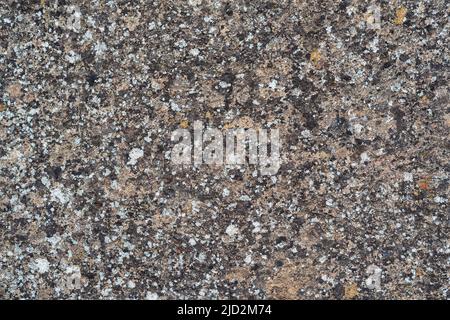 background, texture - a wall of even stone blocks, covered with lichen from old age Stock Photo