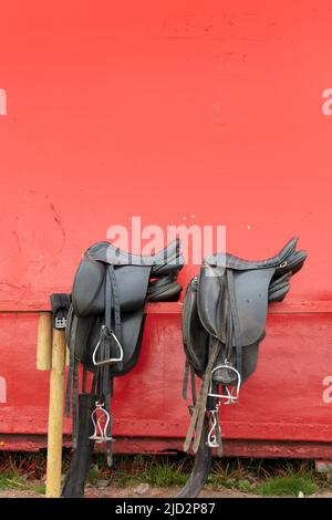 Brown leather horse saddles before the ride on red background Stock Photo