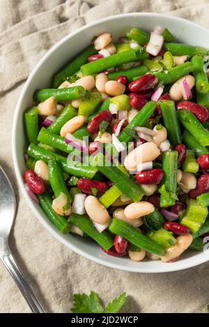 Homemade Organic Three Bean Salad with Green Kidney and Cannellini Stock Photo