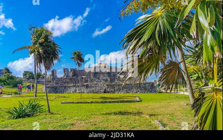 Tulum Mexico 21. February 2022 Ancient Tulum ruins Mayan site with temple ruins pyramids and artifacts in the tropical natural jungle forest palm and Stock Photo