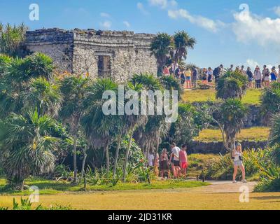 Tulum Mexico 21. February 2022 Ancient Tulum ruins Mayan site with temple ruins pyramids and artifacts in the tropical natural jungle forest palm and Stock Photo