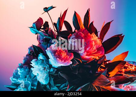 Flowers for beloved woman. Creative floral composition, gerberas, roses and peonies over dark background in neon light. Concept of floristry Stock Photo