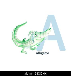 Letter A, alligator, cute kids colorful animals ABC alphabet. Watercolor illustration isolated on white background. Stock Photo