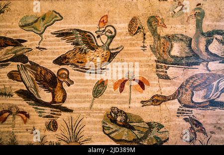Roman Pompeian mosaic representing mitolgical figures in Naples, Italy Stock Photo