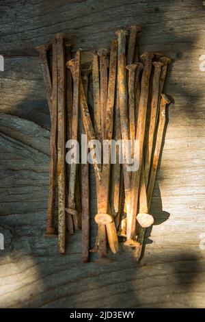 A lot of old rusty bent nails lying on a wooden board. Stock Photo