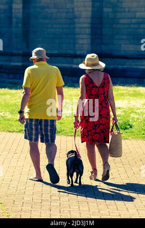 Rear view of a couple in their late 50; walking their pug in the sunshine Stock Photo