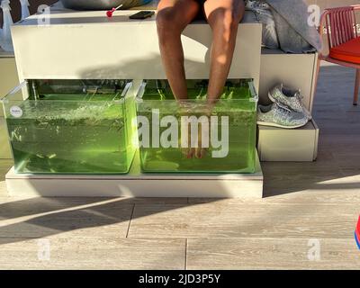 Puerto Plata, DR - January 10, 2022: A  woman getting her feet cleaned by fish in a tank. Stock Photo