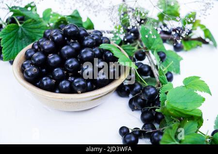 Berries of a tasty, large black currant on a table in a small plate Stock Photo