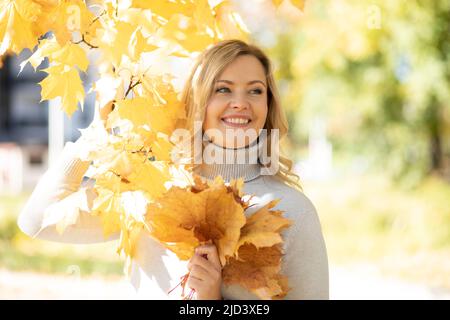 Cute smiling young woman in knitted sweater in autumn forest, holding maple leaf in hands, walking in falling park Stock Photo