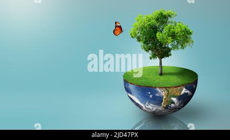 Plant growing on the half sphere of planet earth with green grass on and butterfly. World Ecology, World Environment Day, World Earth Day, and Saving Stock Photo