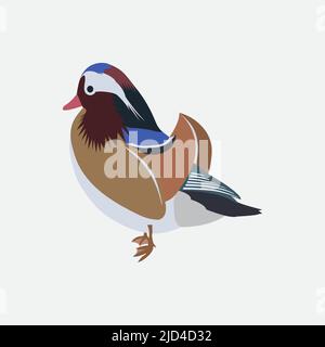 mandarin duck color vector image Stock Vector