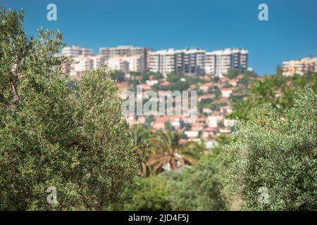 Varsak district of Antalya city, view from the green lungs - urban park. Eco Environment and neighborhood Stock Photo