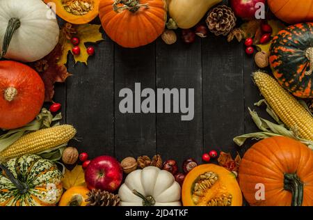Autumn flat lay composition with copy space on wooden background. Pumpkins, rosehips, walnuts, cones, apples, kaki fruit, chestnuts, corn on the cob. Stock Photo
