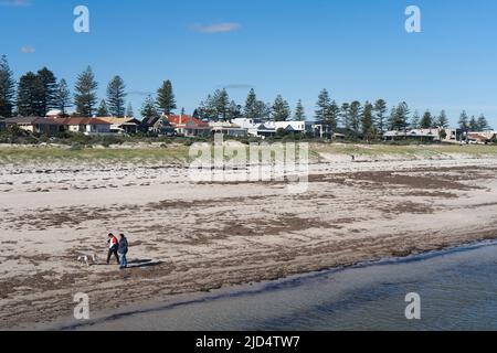 Adelaide Australia, 18 June 2022 . People walking their dogs on the beach along the seafront in Adelaide  a mild and sunny day with higher than expected  warm temperatures Credit. amer ghazzal/Alamy Live News Stock Photo