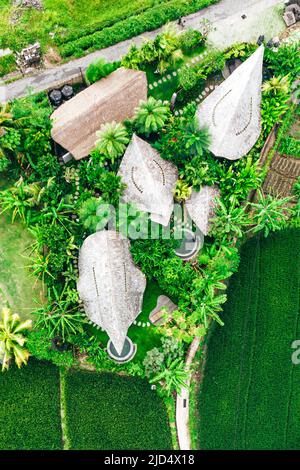 aerial top down view of bamboo villas in the rice fields of ubud bali indonesia Stock Photo