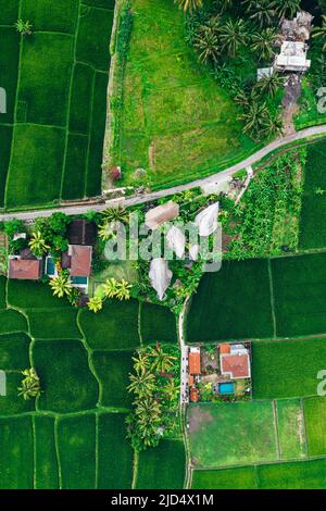 aerial top down view of bamboo villas in the rice fields of ubud bali indonesia Stock Photo