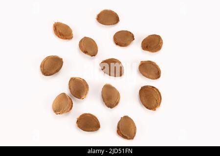 Top view of apricot pits. Healthy food background. Stock Photo