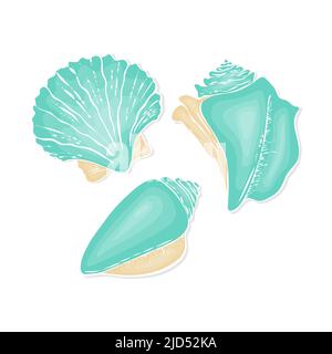 Seashell set hand drawn doodle drawing, blue and beige pastel tone, isolated, white background. Vector illustration Stock Vector