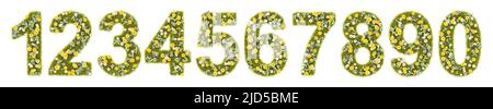 Flowery Grassy Numbers Series Isolated Stock Photo