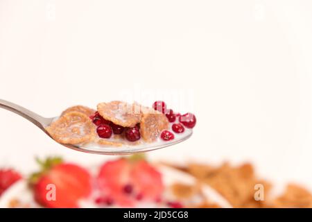 Cereal wheat flakes in milk with lingonberries in a spoon on a white background, a place for text. Quick healthy breakfasts Stock Photo