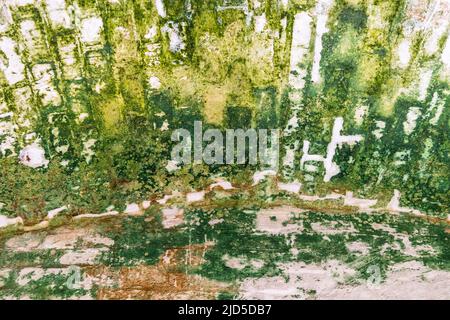 Spot of mold, mould, mildew or fungas on the surface of ceiling Stock Photo
