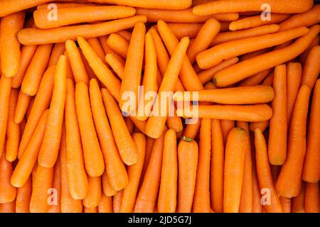 Many carrots placed raw in a container, overhead photo Stock Photo