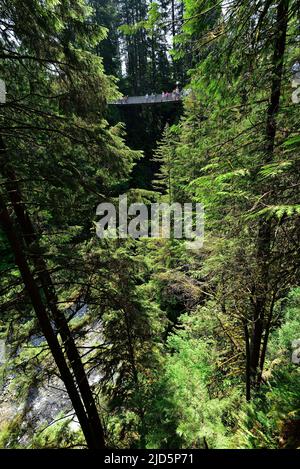 VANCOUVER, BRITISH COLUMBIA, CANADA, MAY 31, 2019: Visitors exploring the Capilano Suspension Bridge park in North Vancouver, Capilano Suspension Brid Stock Photo