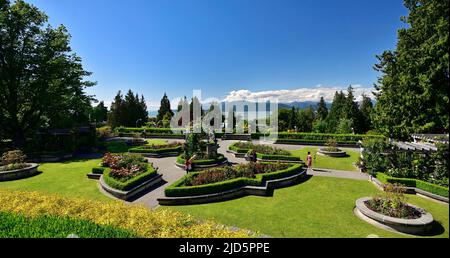 VANCOUVER, BC, CANADA, JUNE 03, 2019: The Rose Garden at the University of British Columbia campus in Vancouver Stock Photo