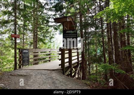 WHISTLER, BC, CANADA, JUNE 04, 2019: Whistler Bungee Bridge, one of attraction in Sea to Sky trail, British Columbia, Canada Stock Photo