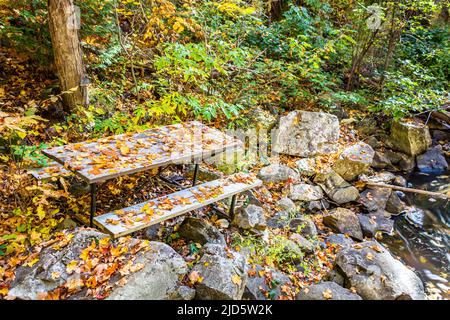 Old picnic table abandoned in the woods near a river. Autumn landscape. Stock Photo