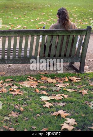 Woman sitting on a park bench in the autumn, surrounded by leaves on the grass Stock Photo