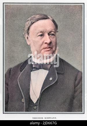 Theodor Schwann (1810 - 1882), German physiologist who made many contributions to biology and coined the term metabolism. Colourised version of : 10005918       Date: circa 1880 Stock Photo