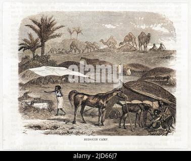 A Bedouin camp in the desert with carefully tended livestock. Colourised version of : 10007897       Date: circa 1860 Stock Photo