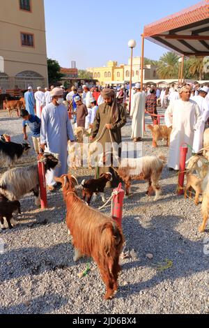 Nizwa, Oman, December 2015: omani men at the Nizwa goat market Stock Photo